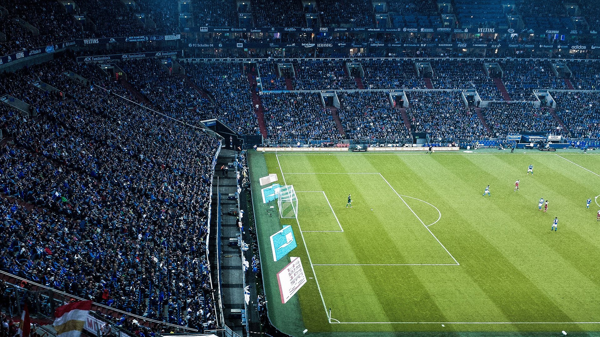 卢卡斯·梅尔滕斯:德国自由泳的坚实支柱