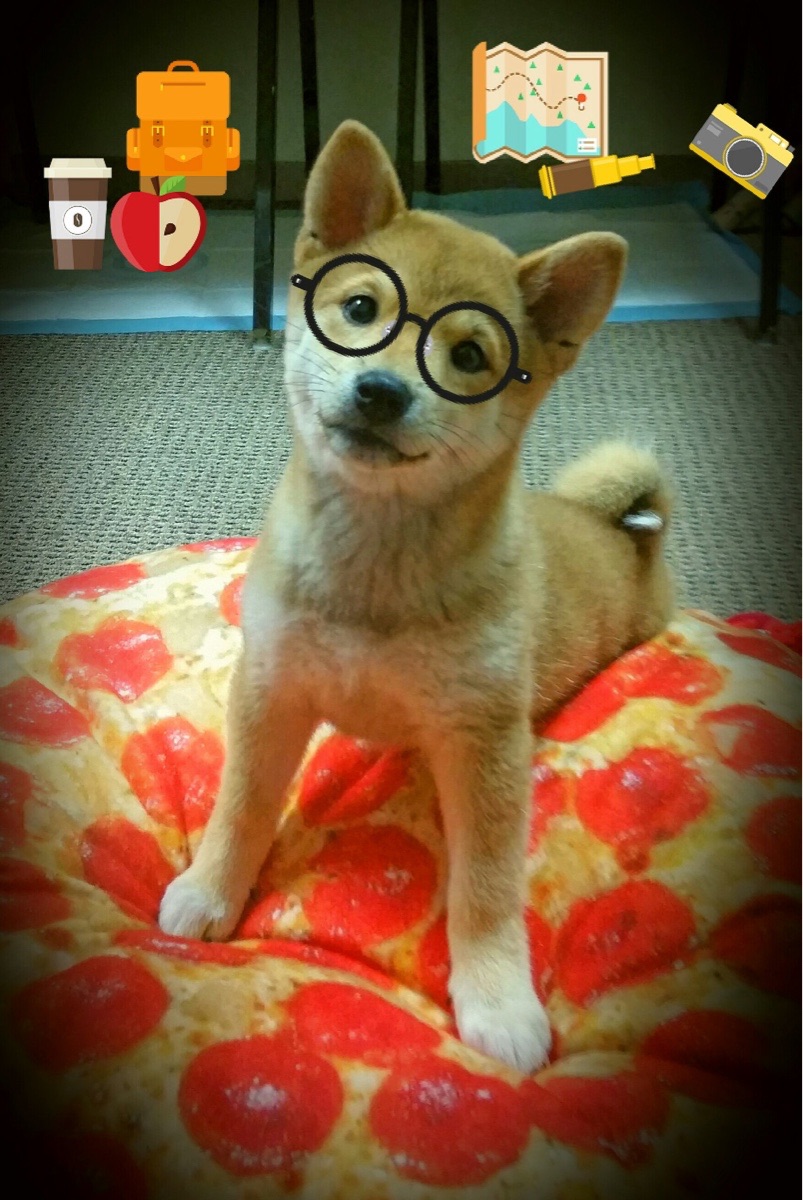 爱游戏官方网站-_世界环游游泳挑战赛：跨越五大洲的极限奔赴_，2021世界游泳比赛